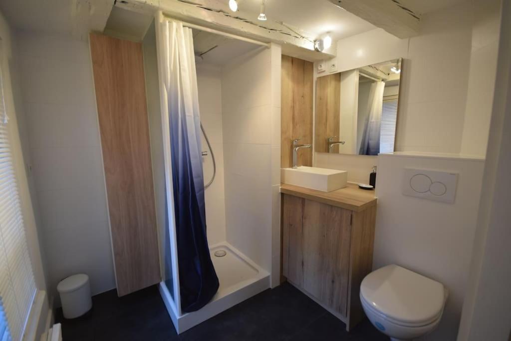 Le Studio Du Quai Des Pecheurs - Charmant Duplex Sur Les Quais สตราสบูร์ก ภายนอก รูปภาพ