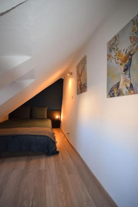 Le Studio Du Quai Des Pecheurs - Charmant Duplex Sur Les Quais สตราสบูร์ก ภายนอก รูปภาพ
