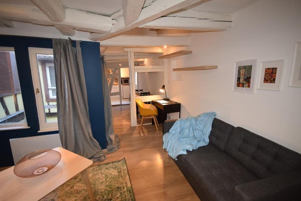 Le Studio Du Quai Des Pecheurs - Charmant Duplex Sur Les Quais สตราสบูร์ก ภายนอก รูปภาพ