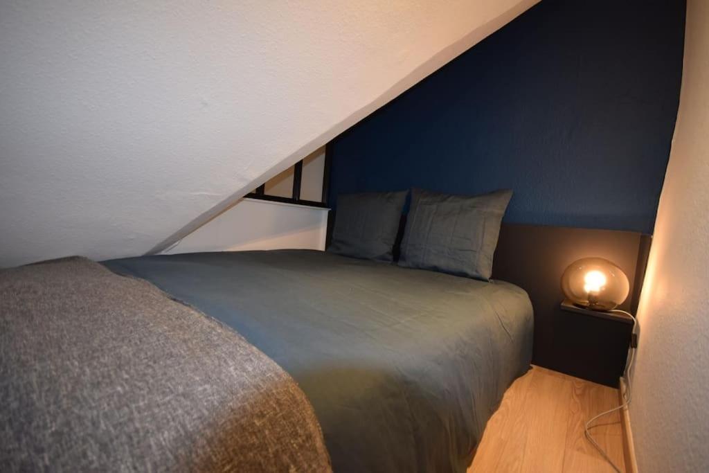 Le Studio Du Quai Des Pecheurs - Charmant Duplex Sur Les Quais สตราสบูร์ก ภายนอก รูปภาพ